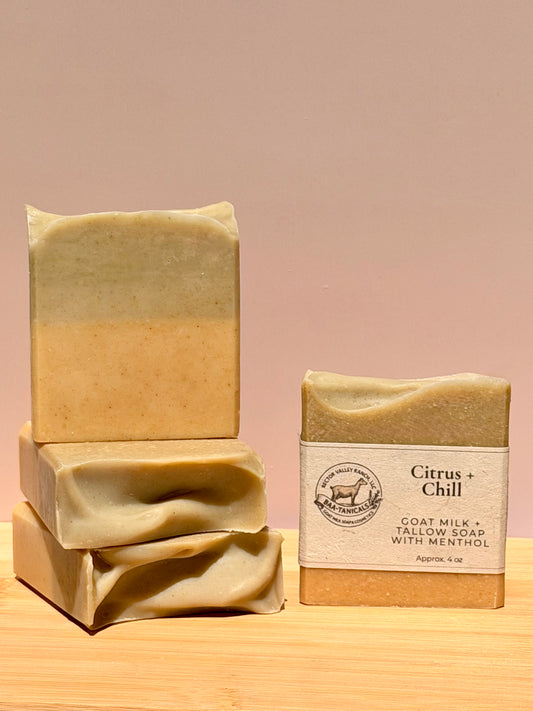 Citrus + Chill